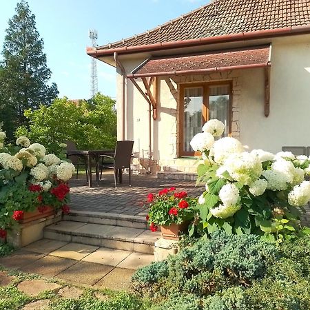 Apartament Platan Vendeghaz Csemo Zewnętrze zdjęcie