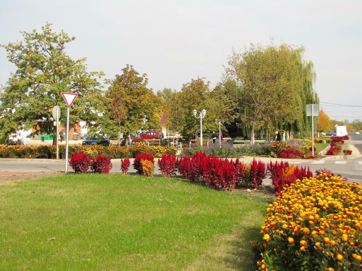Apartament Platan Vendeghaz Csemo Zewnętrze zdjęcie